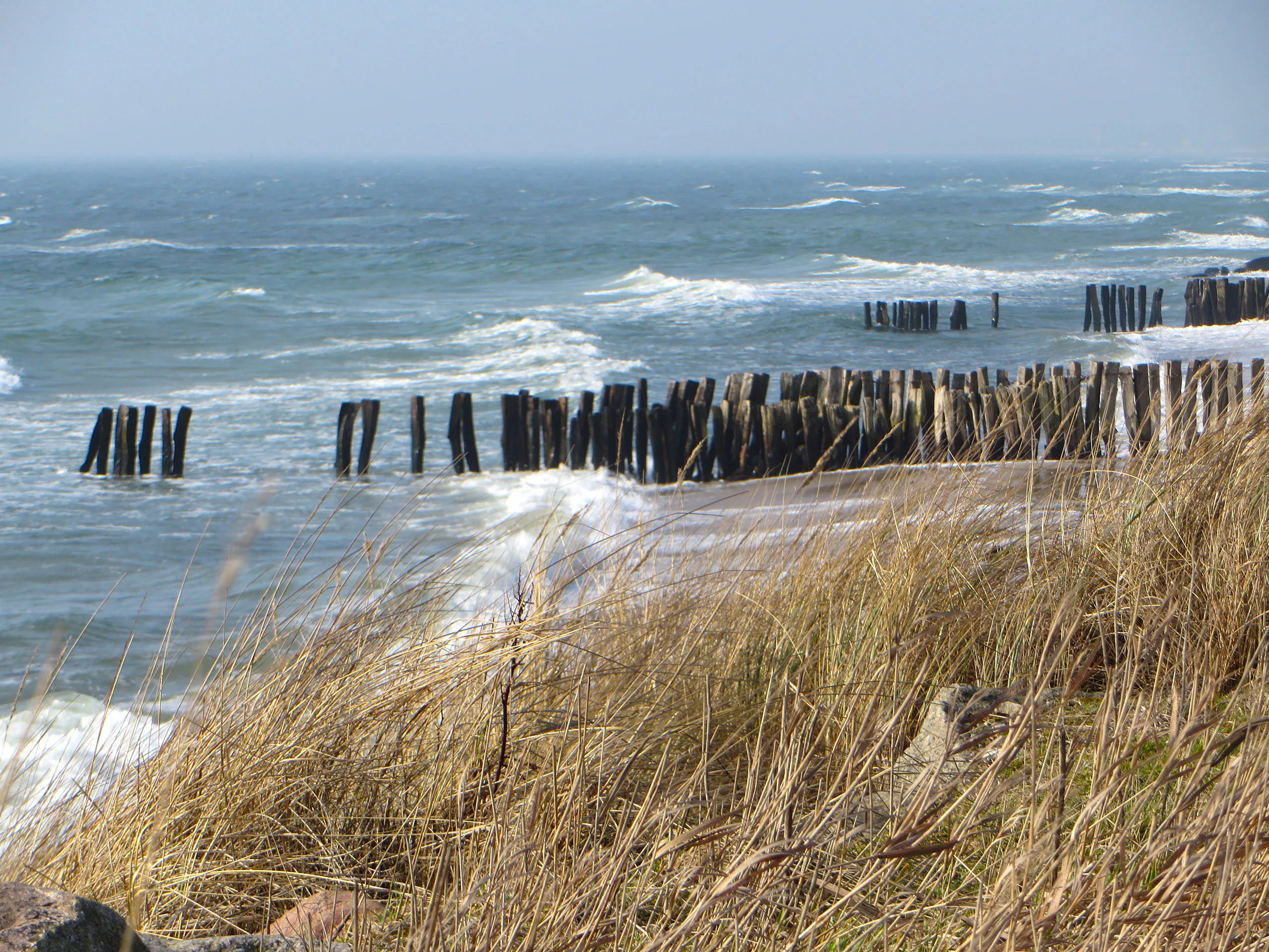 Wellen und hölzerne Buhnen an der Ostseeküste von Fehmarn