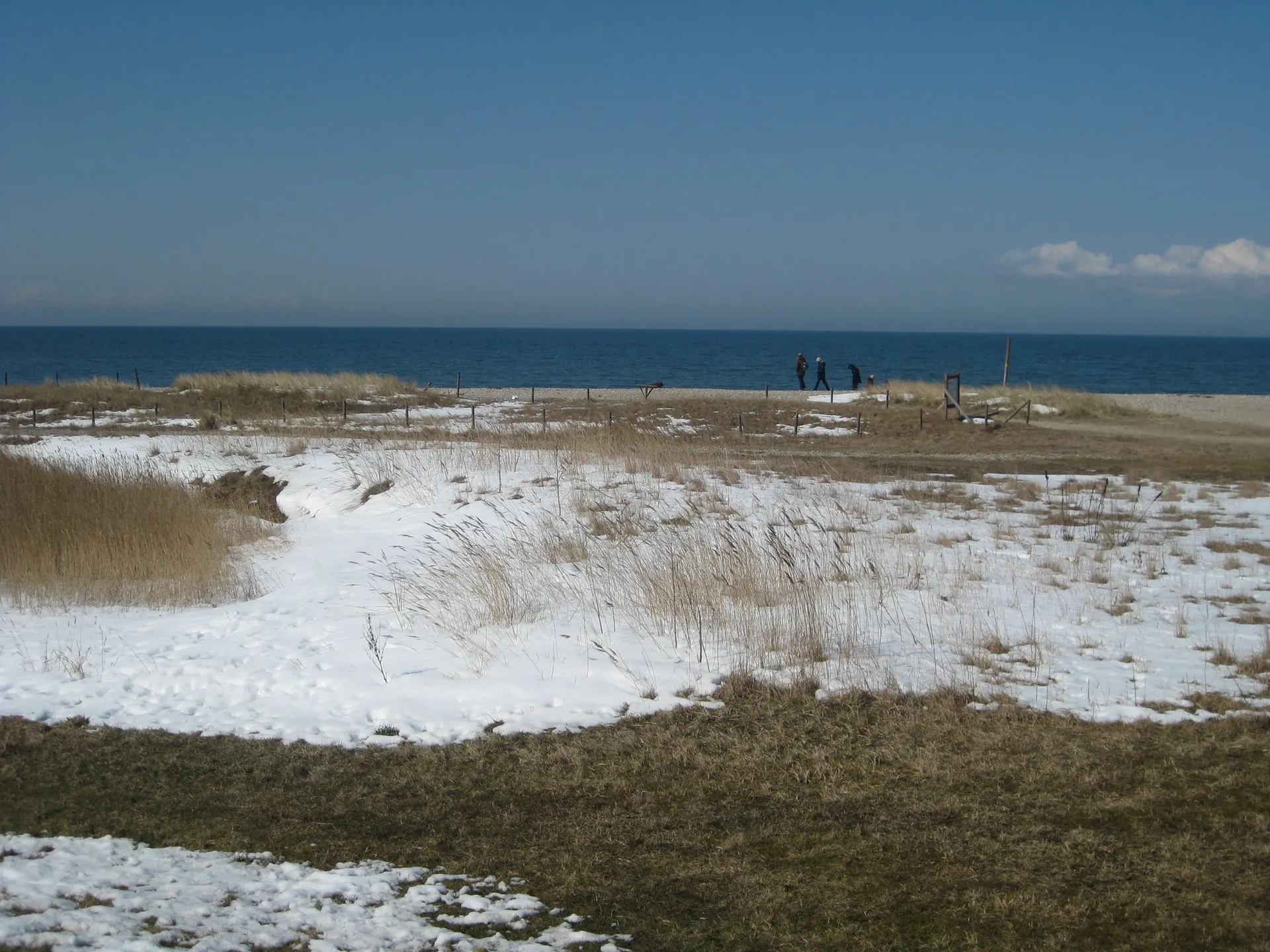 Verschneite Dünenlandschaft an der Ostsee